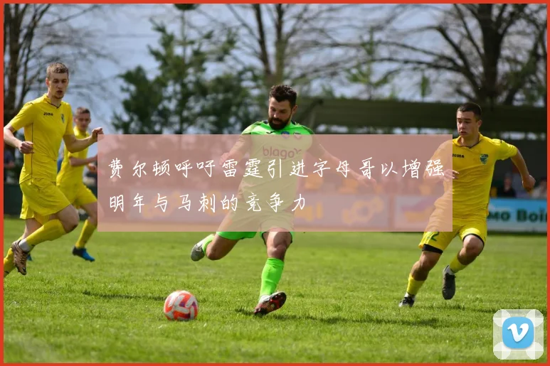 费尔顿呼吁雷霆引进字母哥以增强明年与马刺的竞争力